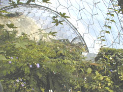 greenhouses