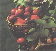 Cornwall cider Cornish apples