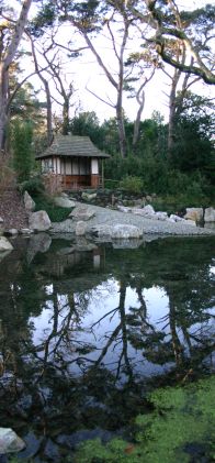Pine Lodge Gardens, Cornwall