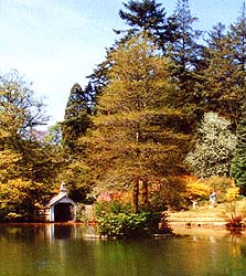 Trevarno Gardens, Cornwall