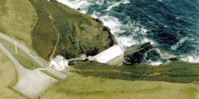 Lizard lifeboat