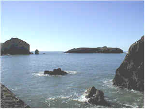 Mullion Cove rocks