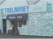 Newlyn fish