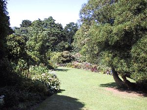 Trelissick, Cornwall gardens