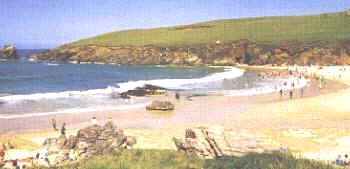 wpe143.jpg (8668 bytes)