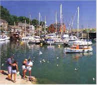 wpe142.jpg (6803 bytes)