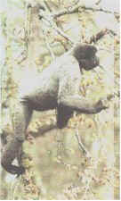 monkey4.jpg (13051 bytes)