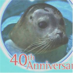 seals in Cornwall